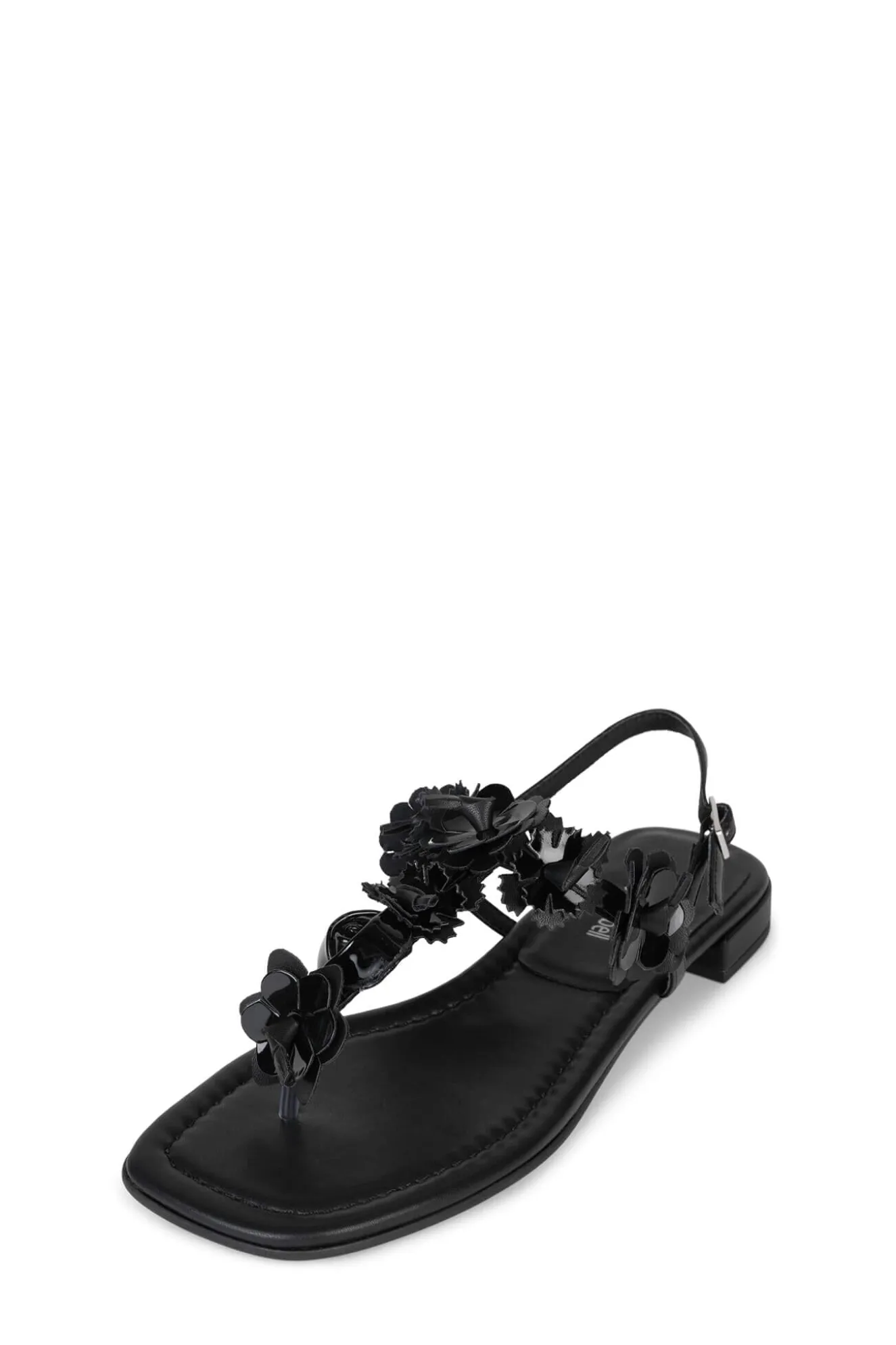 Hot Jeffrey Campbell DIANTHUS Blackcombo